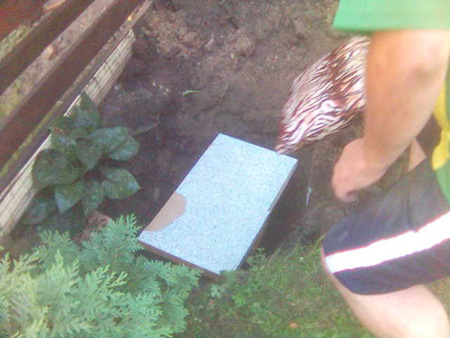 Bild4